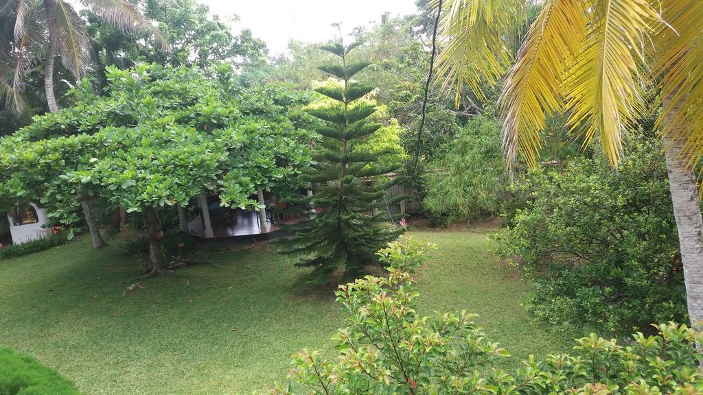 4 Seasons Guesthouse Hikkaduwa Kültér fotó