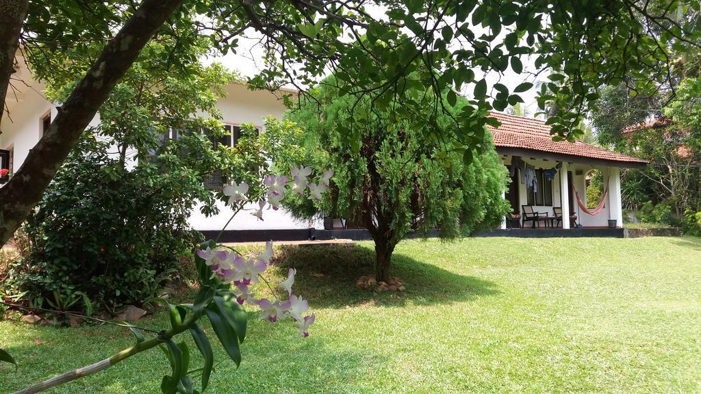 4 Seasons Guesthouse Hikkaduwa Kültér fotó